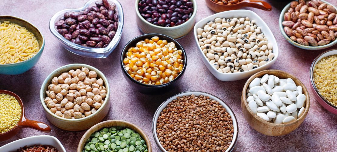 Which Lentil Has the Most Protein? A Complete Comparison Guide